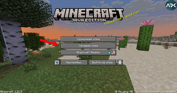 Minecraft сетевая игра.png